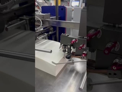 Tipo di azionamento dell'ingranaggio di larghezza della piegatrice 480mm del fermaglio della larga scala 4